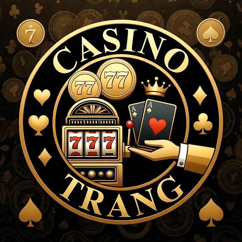 23bet win